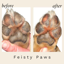 Load image into Gallery viewer, Feisty Paws Natural Tallow Lickable Paw Balm