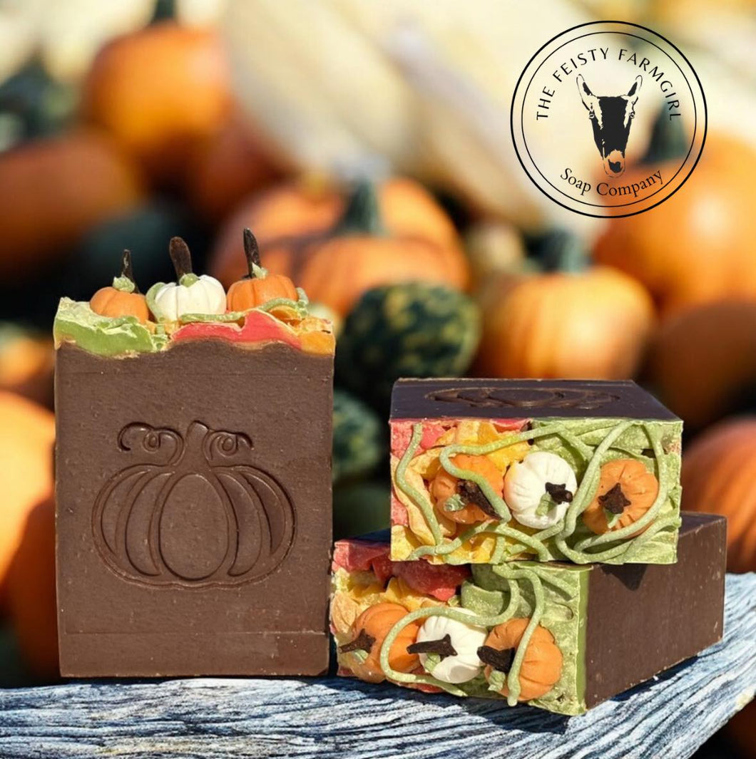 *Seasonal* Pumpkin Patch Goat Milk & Pumpkin Soap