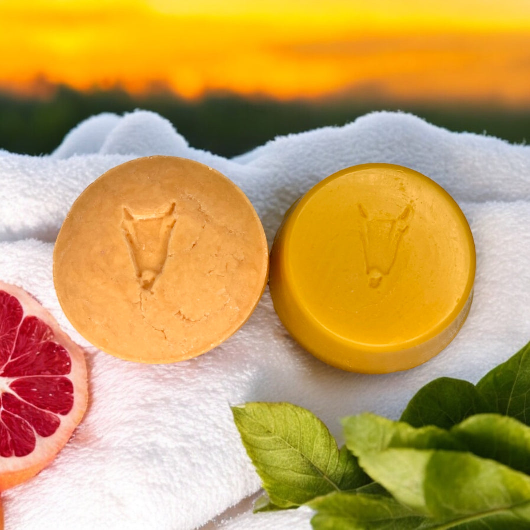 Grapefruit & Goat Milk Shampoo/Conditioner Bar Set